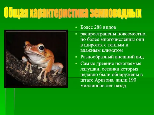 Более 288 видов распространены повсеместно, но более многочисленны они в широтах