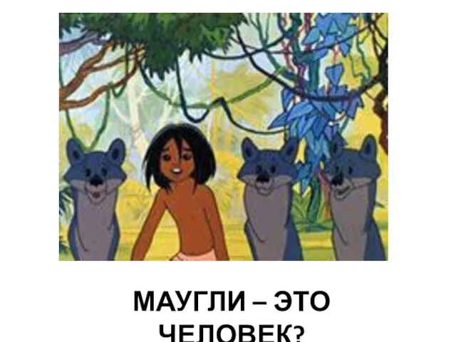 МАУГЛИ – ЭТО ЧЕЛОВЕК?