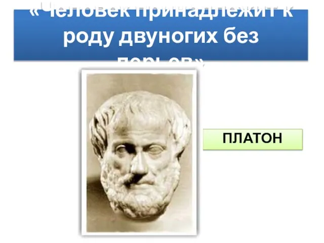 «Человек принадлежит к роду двуногих без перьев» ПЛАТОН