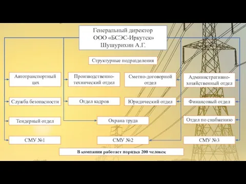 В компании работает порядка 200 человек Генеральный директор ООО «БСЭС-Иркутск» Шушурихин