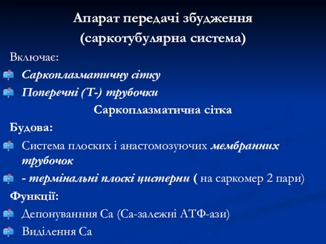 Апарат передачі збудження (саркотубулярна система) Включає: Саркоплазматичну сітку Поперечні (Т-) трубочки