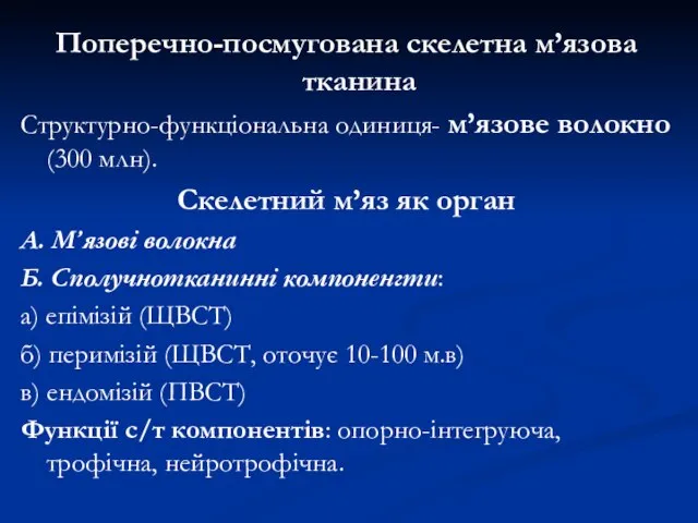 Поперечно-посмугована скелетна м’язова тканина Структурно-функціональна одиниця- м’язове волокно (300 млн). Скелетний