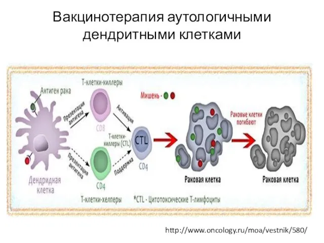 Вакцинотерапия аутологичными дендритными клетками http://www.oncology.ru/moa/vestnik/580/