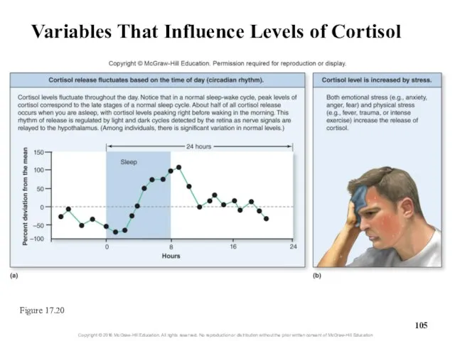 Variables That Influence Levels of Cortisol Figure 17.20