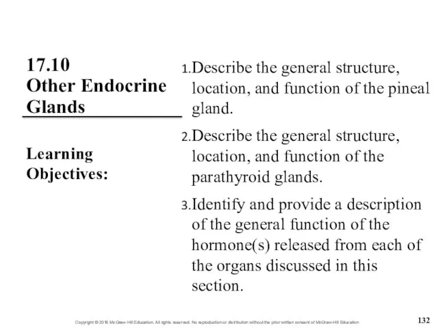 17.10 Other Endocrine Glands Describe the general structure, location, and function