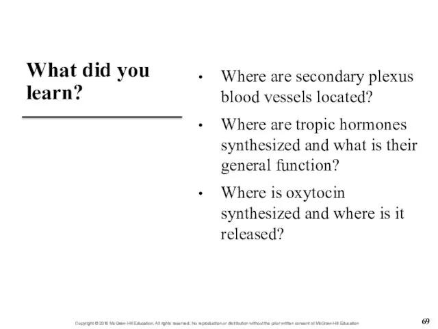 What did you learn? Where are secondary plexus blood vessels located?