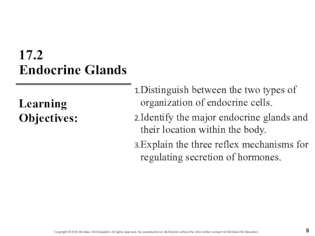 17.2 Endocrine Glands Distinguish between the two types of organization of