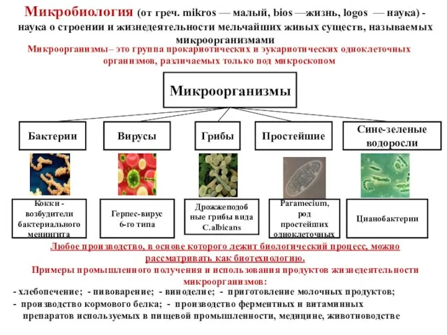 Микробиология (от греч. mikros — малый, bios —жизнь, logos — наука)