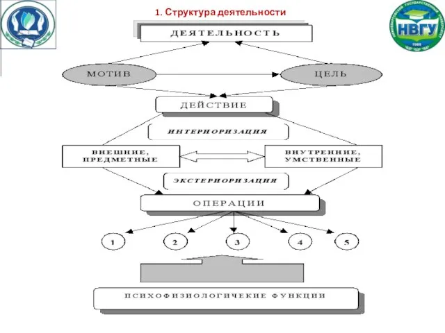 1. Структура деятельности