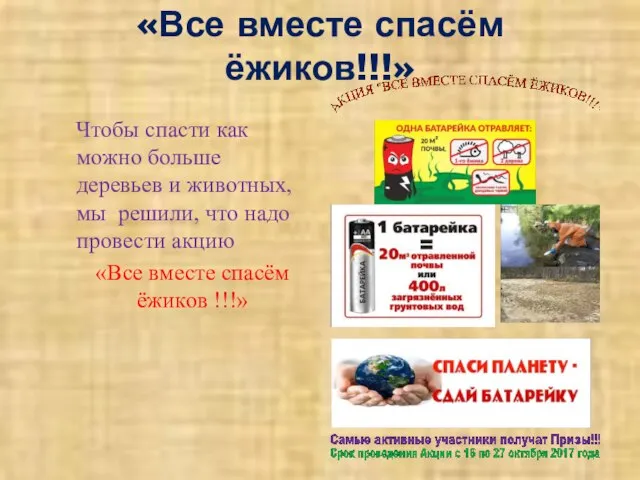 «Все вместе спасём ёжиков!!!» Чтобы спасти как можно больше деревьев и