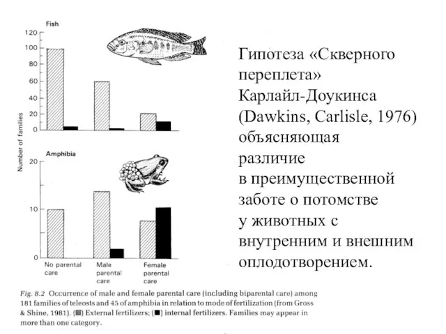 Гипотеза «Скверного переплета» Карлайл-Доукинса (Dawkins, Carlisle, 1976) объясняющая различие в преимущественной