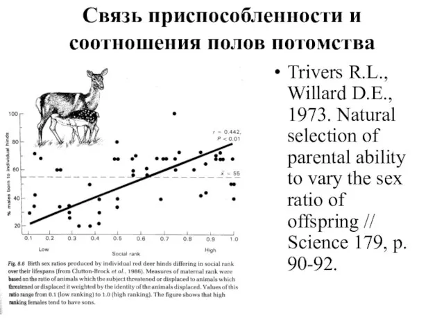 Связь приспособленности и соотношения полов потомства Trivers R.L., Willard D.E., 1973.