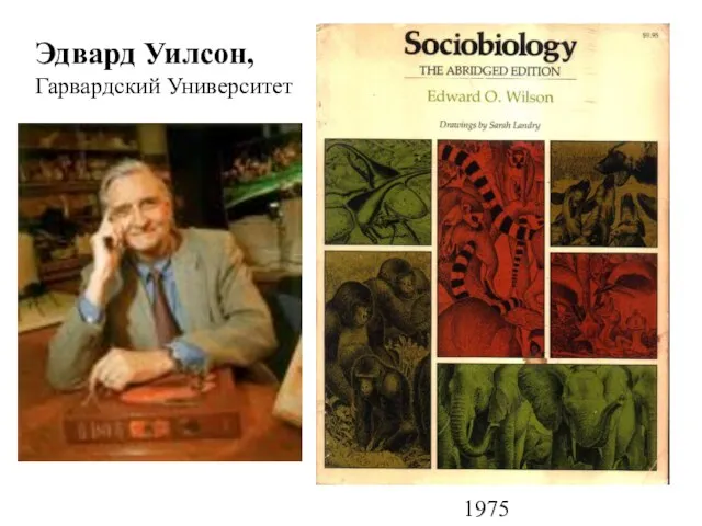 1975 Эдвард Уилсон, Гарвардский Университет