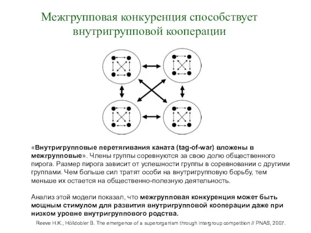 Межгрупповая конкуренция способствует внутригрупповой кооперации «Внутригрупповые перетягивания каната (tag-of-war) вложены в