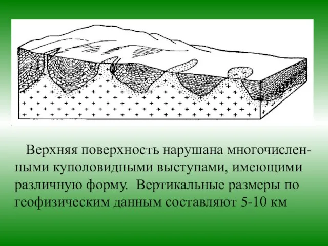 Верхняя поверхность нарушана многочислен- ными куполовидными выступами, имеющими различную форму. Вертикальные