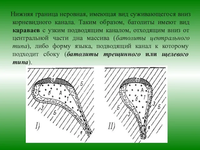 Нижняя граница неровная, имеющая вид суживающегося вниз корневидного канала. Таким образом,