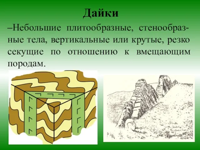 –Небольшие плитообразные, стенообраз- ные тела, вертикальные или крутые, резко секущие по отношению к вмещающим породам. Дайки