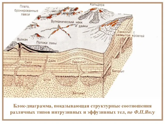 Блок-диаграмма, показывающая структурные соотношения различных типов интрузивных и эффузивных тел, по Ф.П.Янгу
