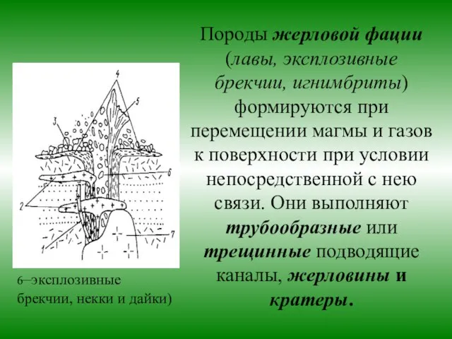 Породы жерловой фации (лавы, эксплозивные брекчии, игнимбриты) формируются при перемещении магмы