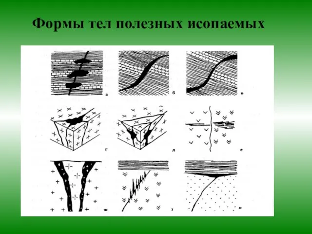 Формы тел полезных исопаемых