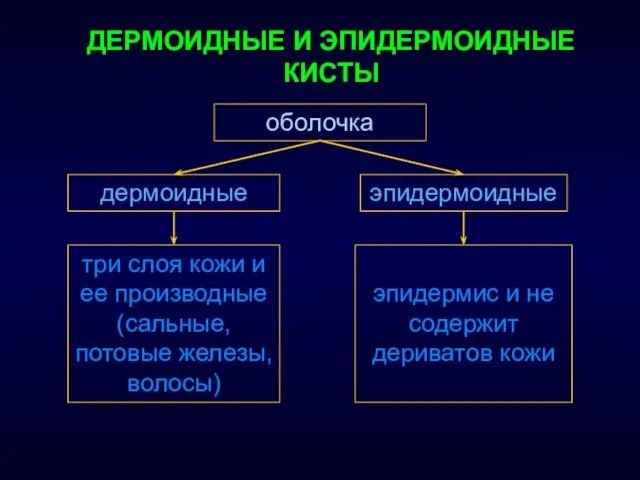 ДЕРМОИДНЫЕ И ЭПИДЕРМОИДНЫЕ КИСТЫ дермоидные эпидермоидные оболочка три слоя кожи и