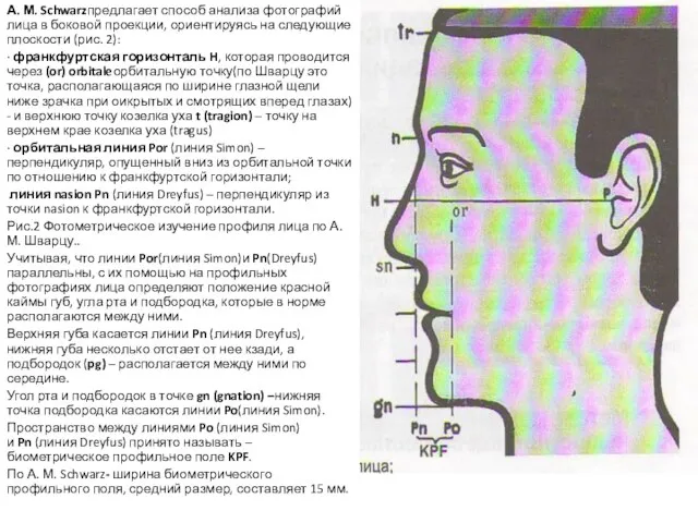 А. М. Schwarzпредлагает способ анализа фотографий лица в боковой проекции, ориентируясь