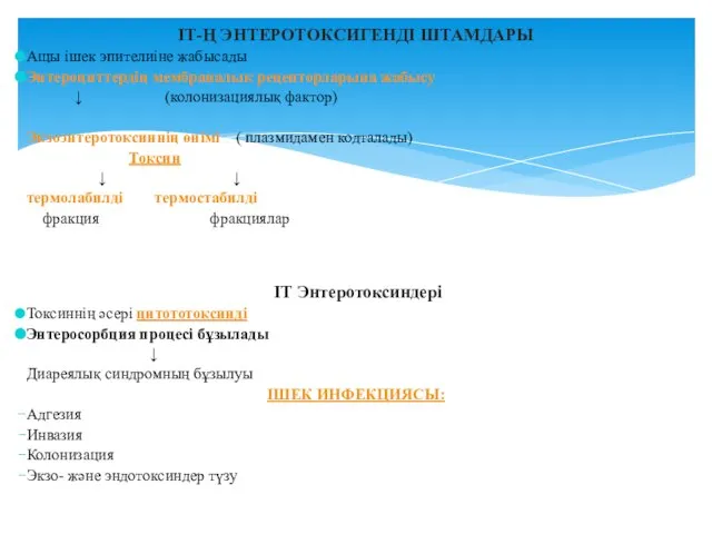 ІТ-Ң ЭНТЕРОТОКСИГЕНДІ ШТАМДАРЫ Ащы ішек эпителиіне жабысады Энтероциттердің мембраналық рецепторларына жабысу