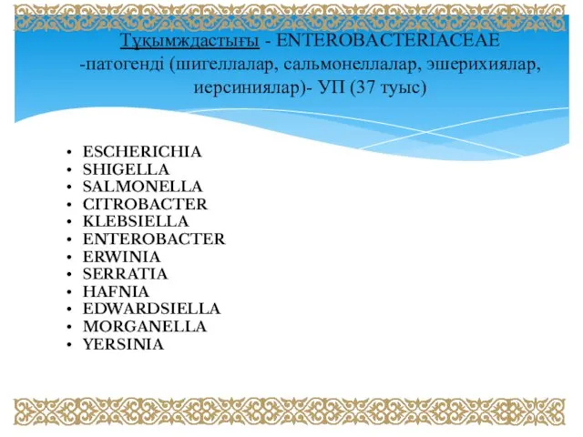 Тұқымждастығы - ENTEROBАCTERIACEAE -патогенді (шигеллалар, сальмонеллалар, эшерихиялар, иерсиниялар)- УП (37 туыс)