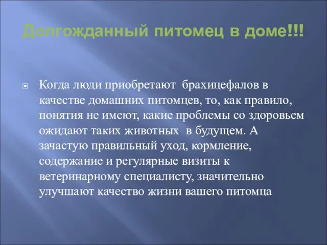 Долгожданный питомец в доме!!! Когда люди приобретают брахицефалов в качестве домашних