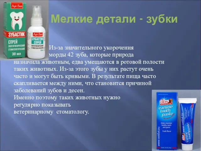 Мелкие детали - зубки Из-за значительного укорочения морды 42 зуба, которые