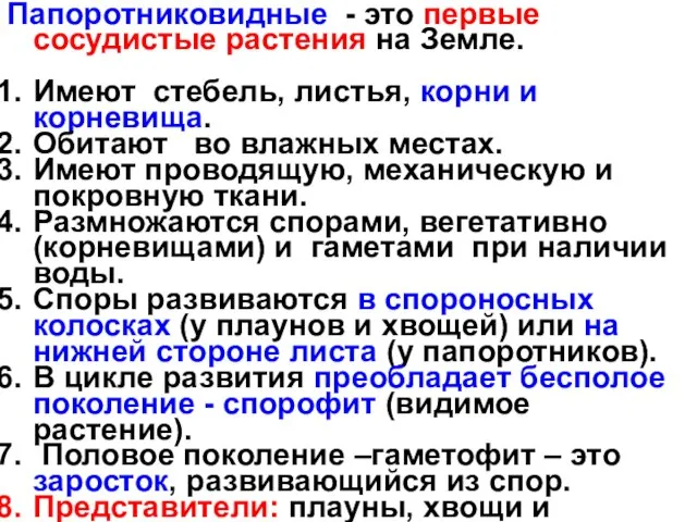 Папоротниковидные - это первые сосудистые растения на Земле. Имеют стебель, листья,