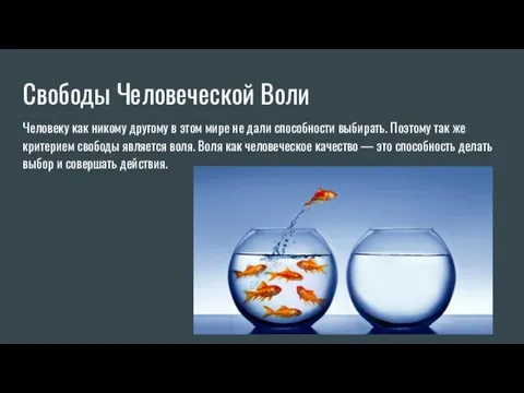 Свободы Человеческой Воли Человеку как никому другому в этом мире не