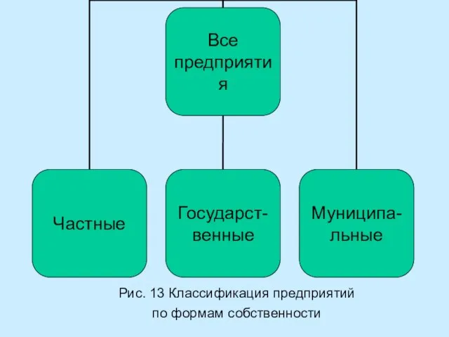 Рис. 13 Классификация предприятий по формам собственности