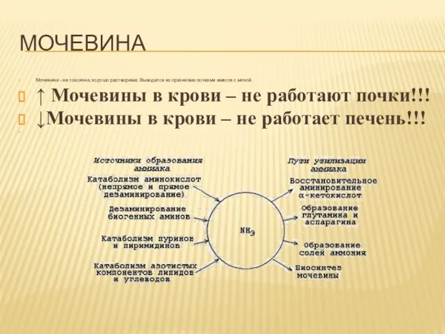 МОЧЕВИНА Мочевина - не токсична, хорошо растворима. Выводится из организма почками