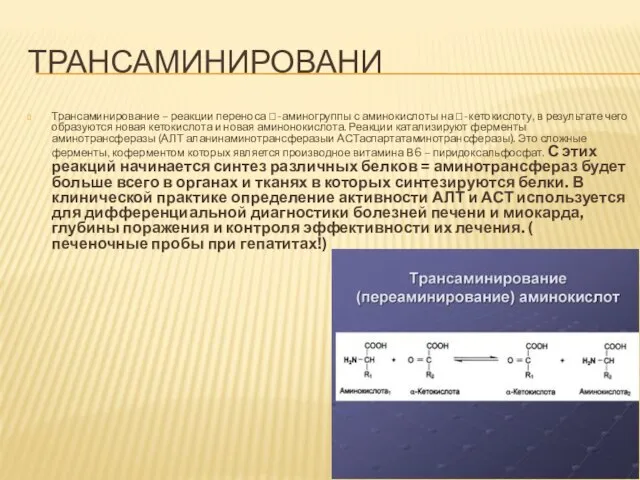 ТРАНСАМИНИРОВАНИ Трансаминирование – реакции переноса -аминогруппы с аминокислоты на -кетокислоту, в