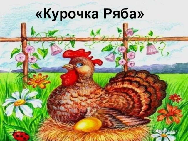 «Курочка Ряба»