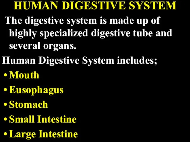 HUMAN DIGESTIVE SYSTEM The digestive system is made up of highly