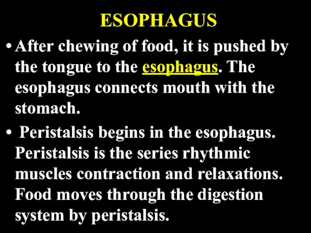 ESOPHAGUS After chewing of food, it is pushed by the tongue