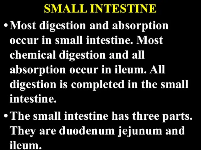 Most digestion and absorption occur in small intestine. Most chemical digestion