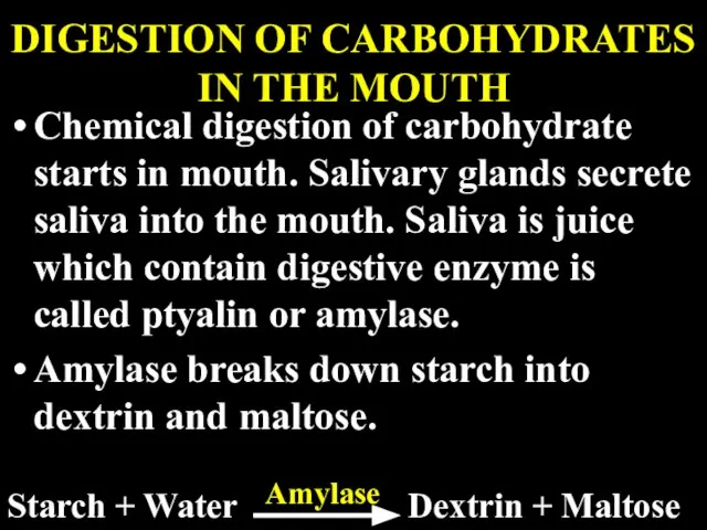 DIGESTION OF CARBOHYDRATES IN THE MOUTH Chemical digestion of carbohydrate starts