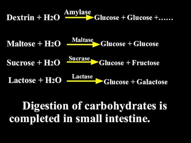 Digestion of carbohydrates is completed in small intestine. Dextrin + H2O