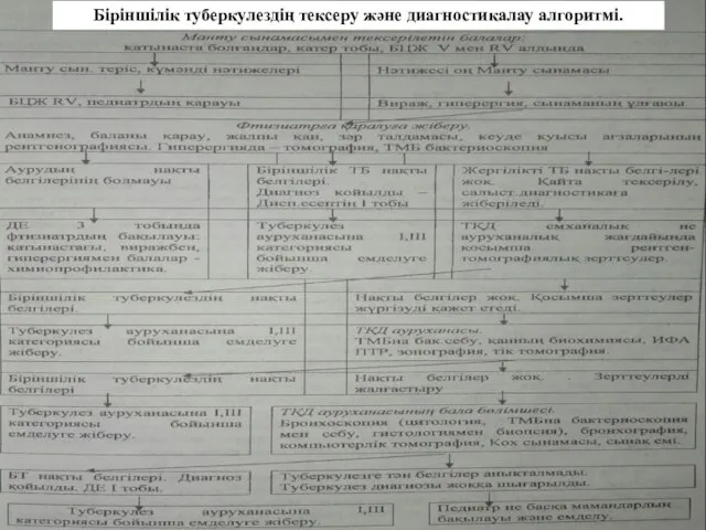 Біріншілік туберкулездің тексеру және диагностикалау алгоритмі.