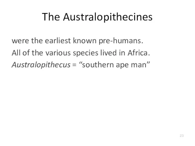 The Australopithecines were the earliest known pre-humans. All of the various