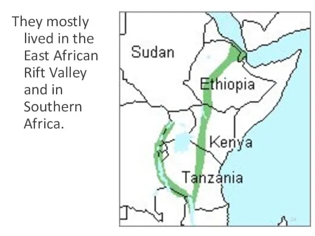They mostly lived in the East African Rift Valley and in Southern Africa.
