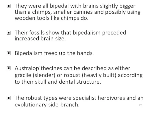 They were all bipedal with brains slightly bigger than a chimps,