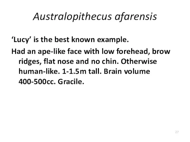 Australopithecus afarensis ‘Lucy’ is the best known example. Had an ape-like