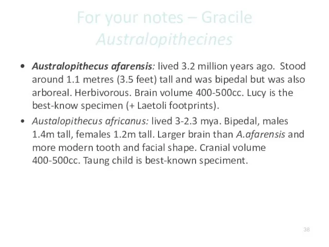 For your notes – Gracile Australopithecines Australopithecus afarensis: lived 3.2 million