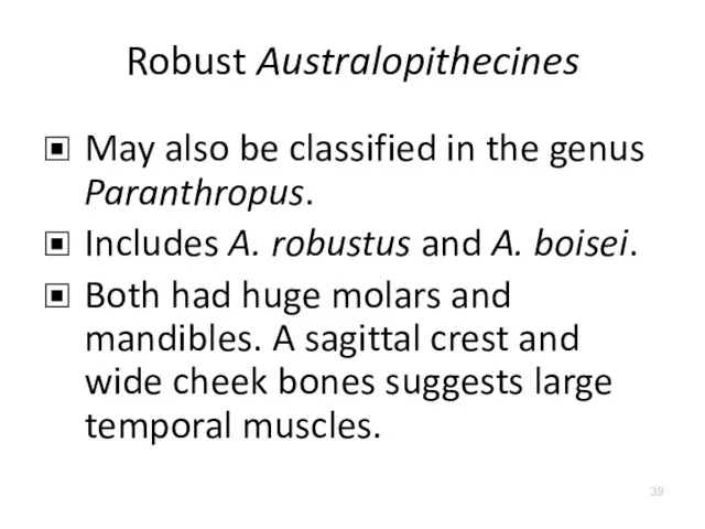 Robust Australopithecines May also be classified in the genus Paranthropus. Includes