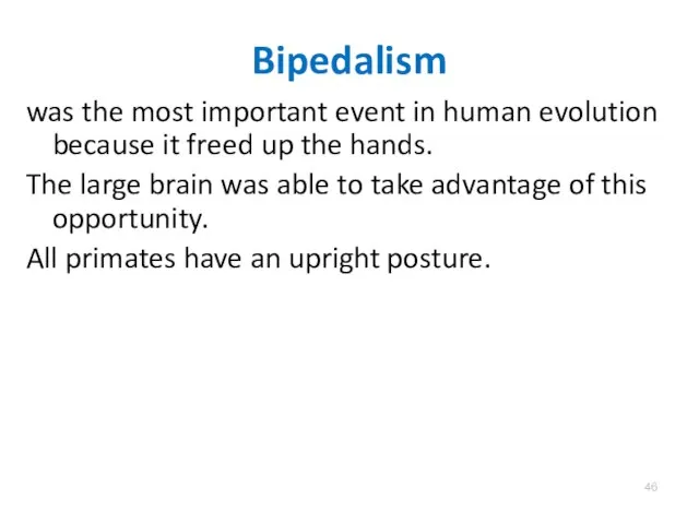 Bipedalism was the most important event in human evolution because it