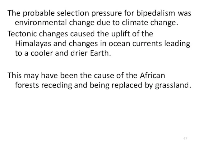 The probable selection pressure for bipedalism was environmental change due to
